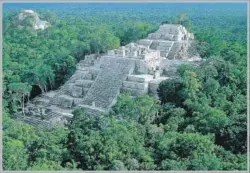  ??  ?? La biosfera de Calakmul es uno de los principale­s pulmones naturales de la tierra