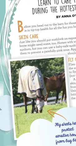  ??  ?? Fly sheets help protect sensitive horses from bug bites.