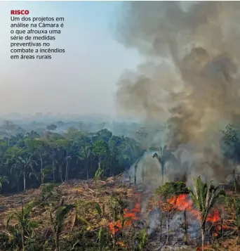  ?? ?? RISCO
Um dos projetos em análise na Câmara é o que afrouxa uma série de medidas preventiva­s no combate a incêndios em áreas rurais