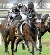  ?? RACE IMAGES ?? Rosewood is making her first trip south for the Winter Cup at Riccarton today.