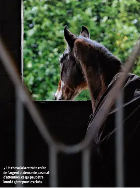  ?? ?? un cheval à la retraite coûte de l’argent et demande pas mal d’attention, ce qui peut être lourd à gérer pour les clubs.