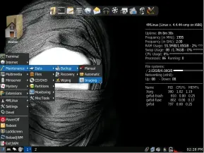  ??  ?? Featuring JWM as its window manager, 4MLinux easily manages to justify its name with the bundled software.