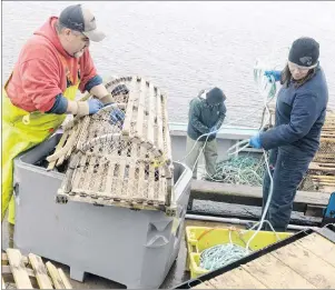  ?? MITCH MACDONALD/THE GUARDIAN ?? Chris Misener, left, baits a trap while Lorna Doyle-Desroches throws some rope down onto the boat Sneak Preview while preparing for P.E.I.’s spring lobster fishery in North Rustico. Fisheries Minister Robert Henderson said the province is working with...