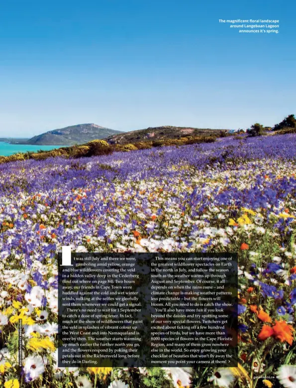  ??  ?? The magnificen­t floral landscape around Langebaan Lagoon announces it’s spring.