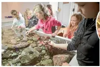  ?? PHOTOS: ROBERT KITCHIN/STUFF ?? Visitors check out the rock pools at the Bait House Aquarium. Starfish, crayfish and octopuses are especially popular.