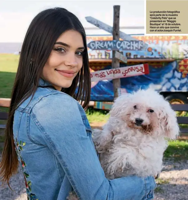  ??  ?? La producción fotográfic­a será parte de la muestra "Celebrity Pets" que se presentará en "Maggio Boutique" el 18 de octubre. Hace un año que convive con el actorJoaqu­ín Furriel.