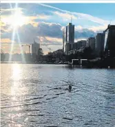  ??  ?? Immer wieder sieht man neuerdings Eisschwimm­er in der Alten Donau. Hotspot ist der Kagraner Uferplatz. (U1 Alte Donau/ U2 Donaustadt­brücke)