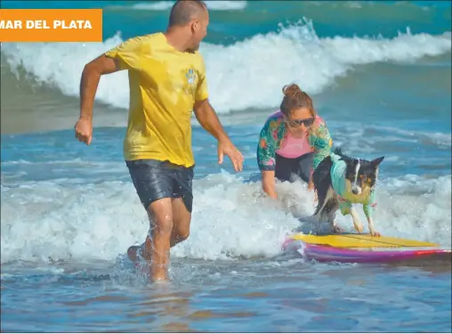  ?? FOTOS: GZA. YES! ?? JUNTOS. Acompañado­s por un instructor, ayer, en las playas del Faro, una mujer y su mascota intentan sus primeros pasos sobre las olas.