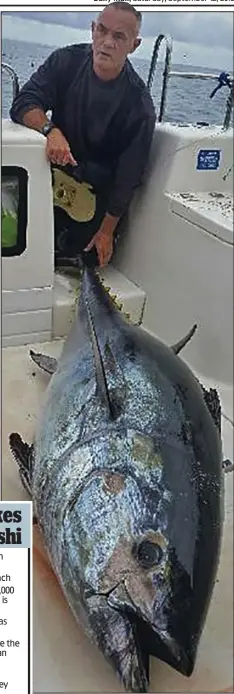  ??  ?? Monster catch: Mike Steer with his 300lb bluefin