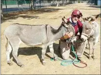  ?? COURTESY OF JEFF KERMODE ?? These burros were among animals rescued.