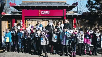  ?? KERIANNE SPROULE ?? Grade 3 students from Prince of Wales school celebrate an announceme­nt Monday that the Calgary Zoo’s Panda Passage will officially open to the public on May 7. Pictured with the students, back row centre, from left, are Dr. Clement Lanthier, president...