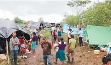  ??  ?? Asentamien­to. Más de 300 personas desplazada­s viven en una comunidad de Campeche.