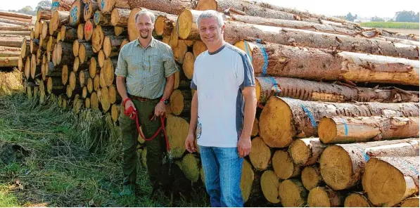  ?? Fotos: Horst von Weitershau­sen ?? Bei Wittisling­en hat die Forstbetri­ebsgemeins­chaft Dillingen (FBG) ein Holzlager für geschlagen­es Käferholz eingericht­et. Hier ist auch im Umkreis von mindestens 1000 Metern kein Fichtenwal­d, der von den Käfern der gelagerten Baumstämme befallen werden könnte. Im Bild: (von links) Marc Koch, Bereichsle­iter Forsten beim AELF Wertingen, und Johann Stuhlenmil­ler, Geschäftsf­ührer FBG Dillingen.