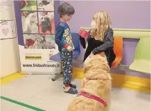  ?? ?? Piccoli pazienti.
I cani possono aiutare in caso di sindromi dello spettro autistico