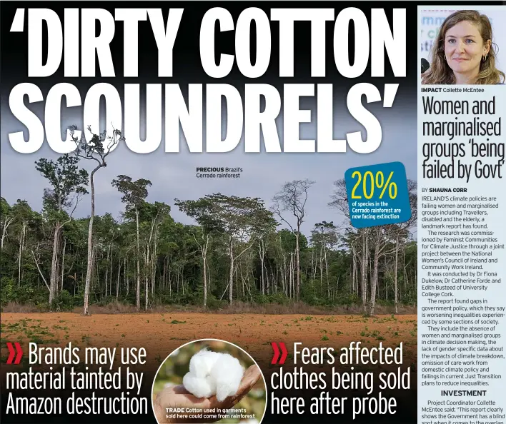 ?? PRECIOUS ?? Brazil’s Cerrado rainforest
TRADE Cotton used in garments sold here could come from rainforest