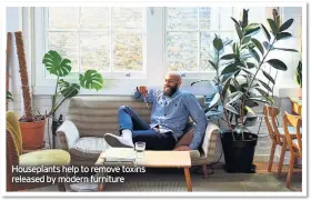  ??  ?? Houseplant­s help to remove toxins released by modern furniture