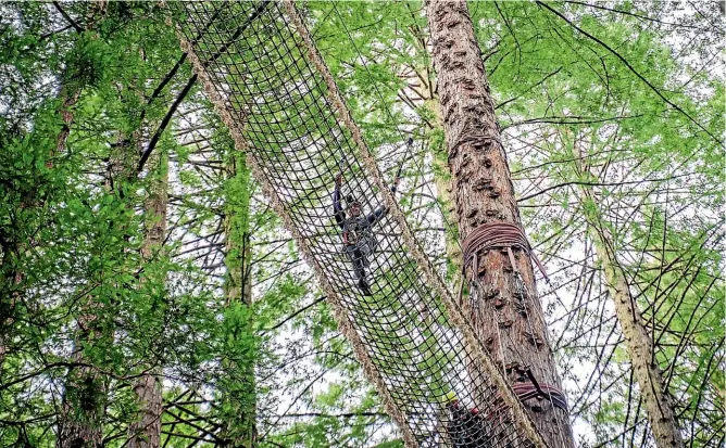  ?? PHOTOS: BROOK SABIN/ STUFF ?? You will test your relationsh­ip with heights on the Redwoods Altitude. The bridges begin to get more challengin­g as you go along.