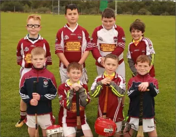  ??  ?? The Liam Mellows Under-9 team at the Noel O’Brien Memorial tournament in the Buffers Alley grounds.