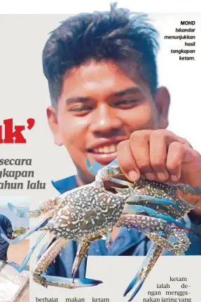  ??  ?? MOHD Iskandar menunjukka­n
hasil tangkapan
ketam.