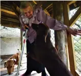  ?? — AFP ?? This photograph taken on August 11, shows 88year- old Yanina Stashko , playing with her dogs at her home in the village of Kodi, some 320kms west of Minsk. When she embarked on a boat for the USSR 70 years ago, Yanina Statchko was far from imagining that she would never see her native France again.