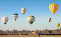  ?? GLOBOTUREF­E ?? Globos aerostátic­os alzan el vuelo durante la pasada edición de la Copa.