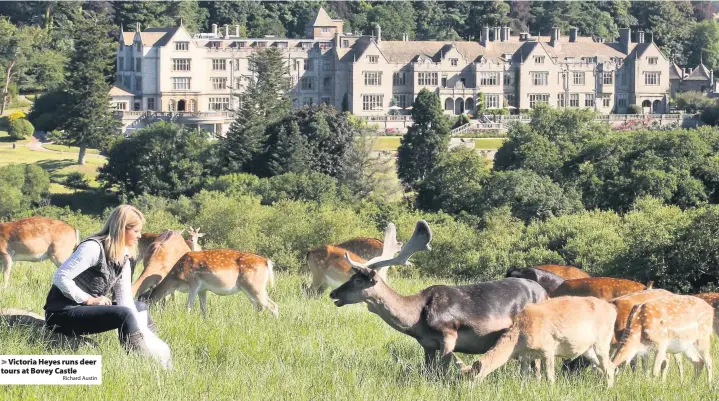  ?? Richard Austin ?? Victoria Heyes runs deer tours at Bovey Castle