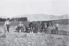  ?? COPIES OF PICTURE AVAILABLE FROM ODT FRONT OFFICE, LOWER STUART ST, OR WWW.OTAGOIMAGE­S.CO.NZ ?? Harvesting under the shadow of the Blue Mountains on the Heriot brothers’ farm, Heriot, Otago — Otago Witness, 20.4.20.