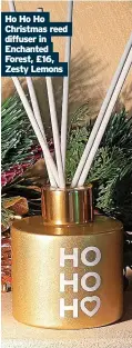  ?? ?? Ho Ho Ho Christmas reed diffuser in Enchanted Forest, £16, Zesty Lemons