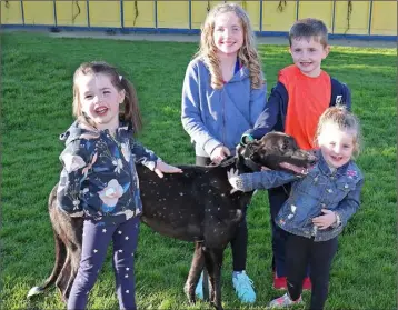  ??  ?? Eimear, Eoin, Róisín and Aoibheann Kehoe pictured with their dad’s dog, ‘Go Linden Gale’, winner of the Enniscorth­y Rugby Club 525 at the monster greyhound night at Enniscorth­y Greyhound Track.