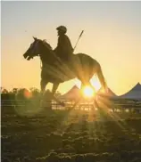  ?? JERRY JACKSON/BALTIMORE SUN ?? Horses work out on the Pimlico track early Tuesday as preparatio­ns for Saturday’s Preakness Stakes are underway.