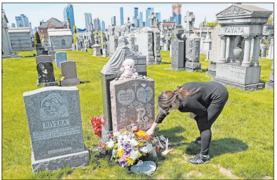  ?? Kathy Willens The Associated Press ?? Sharon Rivera tends to flowers at the grave of her daughter, Victoria, at Calvary Cemetery in New York City. Victoria, 21, was one of a record 93,000 who died last year by drug overdose, according to a study by the Centers for Disease Control and Prevention.