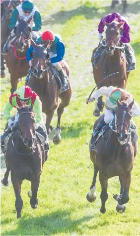  ?? Photo / NZME ?? Storming the Tower (front left) should enjoy the heavy going in the Taumarunui Cup at Rotorua tomorrow.