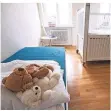  ?? FOTO: DPA ?? Kuscheltie­re liegen auf einem Bett in einem Kinderhosp­iz.