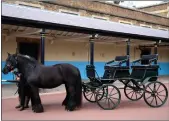  ??  ?? The Duke’s driving carriage and his two Fell ponies, Balmoral Nevis and Notlaw Storm, at Windsor Castle