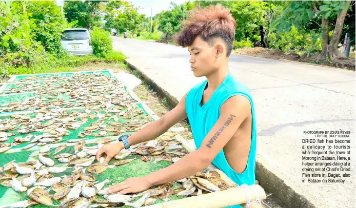  ?? ?? PHOTOGRAPH BY JONAS REYES
FOR THE DAILY TRIBUNE DRIED fish has become a delicacy to tourists who frequent the town of Morong in Bataan. Here, a helper arranges daing at a drying net of Chad’s Dried Fish store in Bagac, also in Bataan on Saturday.