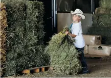  ??  ?? Mitchell McDermid, 9, helps out with the barn chores.