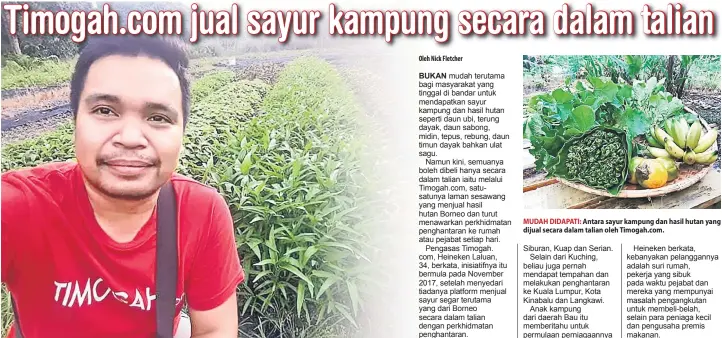  ??  ?? SEGAR: Heineken berada di salah sebuah ladang sayur untuk mengambil bekalan. MUDAH DIDAPATI: Antara sayur kampung dan hasil hutan yang dijual secara dalam talian oleh Timogah.com.