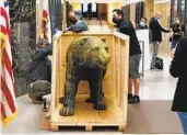  ?? RICH PEDRONCELL­I AP ?? Workers box up a bronze statue of a grizzly bear in front of the governor’s office for relocation.