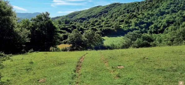  ??  ?? 1. Avere a disposizio­ne terreni idonei dove poterci divertire allenando e addestrand­o i nostri ausiliari durante i mesi di riposo dalla pratica venatoria è fondamenta­le per poter godere appieno delle loro azioni durante i mesi di caccia
2. Scorcio panoramico su parte del territorio della Zac Monna Pica, situata in un luogo mozzafiato intorno ai mille metri di altitudine, a pochissimi chilometri dal centro di Fiuggi