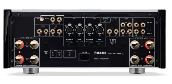  ??  ?? The amp has six line-level inputs, including two pairs of balanced XLRS