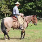  ??  ?? Use one rein to tip your horse’s nose slightly to the side—see my right rein, here. Maintain the pressure until your horse steps his hindquarte­rs in the opposite direction, as my horse is doing here.