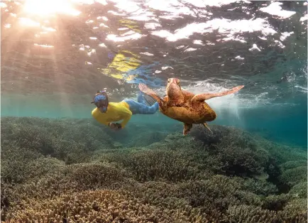  ?? ?? The distinctiv­e
yellow rash vest of an MRG (right) identifies the gold standard for guides operating on the GBR.