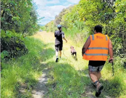  ?? ?? Bird avoidance training is available as part of the Mahi Aroha programme.
Sue Graham’s watercolou­r workshops help people explore nature creatively.