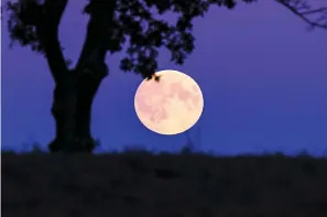  ?? Dreamstime/TNS ?? ■ A supermoon rises. The moon became a “Pink Moon” on Tuesday night but was mostly obscured by cloudy skies for parts of the U.S. It still will be almost full tonight.