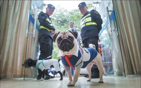  ?? NI YANQIANG / FOR CHINA DAILY ?? Dog lovers wait in line to obtain licenses for their pets at an administra­tive service center in Hangzhou, Zhejiang province.