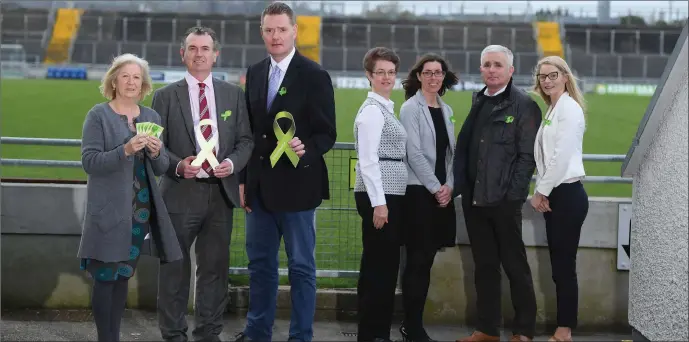  ??  ?? Bernie Reen, Kerry GAA Childrens Officer, Dr Darragh Phelan, HSE, Tim Murphy, Kerry GAA Chairman, Mary O’Mahony, HSE, Marie Louise Sheehy, Mike O’Halloran, HSE, and Julieann Lane, Resource Officer for Suicide Prevention, at the launch of the annual...