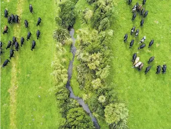  ?? Photo / Dairy NZ ?? The new freshwater rules mean many farmers will have to reduce their stocking rates and cut back on spending.