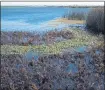  ?? ARIC CRABB — STAFF PHOTOGRAPH­ER ?? A view of the Delta is photograph­ed from Big Break Regional Shoreline in Oakley.