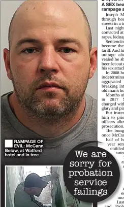  ??  ?? ■
RAMPAGE OF EVIL: McCann. Below, at Watford hotel and in tree