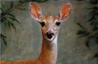  ??  ?? Magic Moment, acrylic on canvas, 24 x 36" (60 x 90 cm)Seeing this graceful doe close up, I knew instantly I had to paint it. With a muted background, I indicated leaves to frame the beautiful face. After blocking the deer’s form in, the eyes were easy to paint with the encounter still fresh in my mind. The ears and the fur, on the other hand, needed several days to become as detailed as I imagined they would have to be. Lastly, I highlighte­d the side where the evening sun fell on the doe’s hair in numerous layers until I was satisfied with the result.